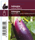 Aubergine pot 10,5 (tray 12 pot)